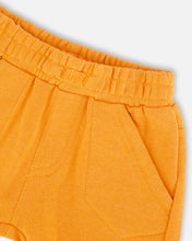 Load image into Gallery viewer, Safari Lion Tee & Short Set