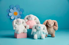 Load image into Gallery viewer, Bunny Pom Pom Rattle