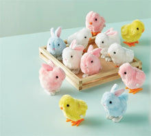 Load image into Gallery viewer, Easter Wind-Up Toy