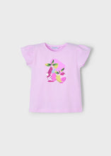 Load image into Gallery viewer, Fruit Bowl Graphic T-Shirt SS- Mauve
