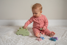 Load image into Gallery viewer, Littlewood Dino Blocks

