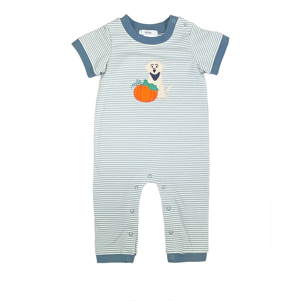 Pumpkin Boy's Romper- Sage Stripe