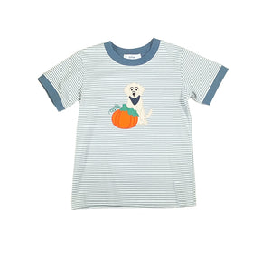 Pumpkin Boy's T-Shirt- Sage Stripe