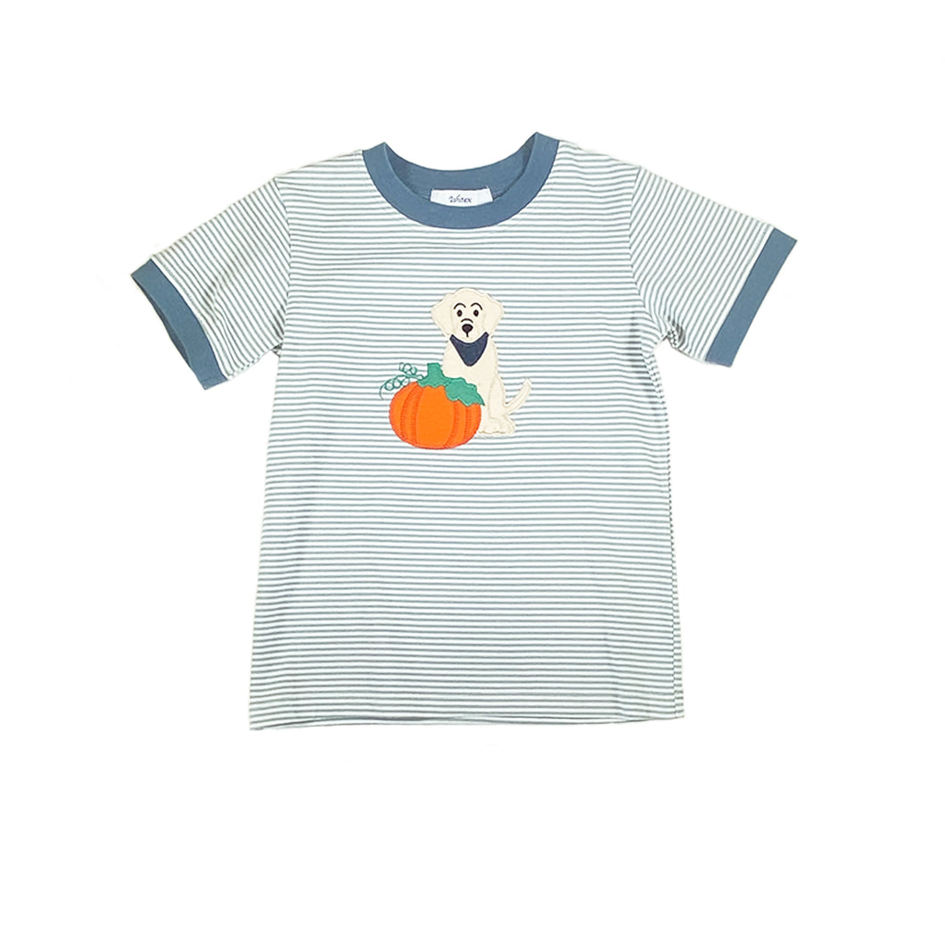 Pumpkin Boy's T-Shirt- Sage Stripe