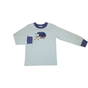Cotton Boy's T-Shirt- Sage Stripe