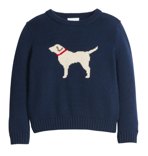 Intarsia Sweater- Boy Lab