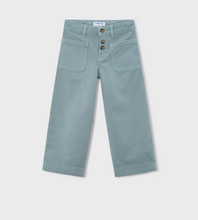 Load image into Gallery viewer, Twill Marine Pants- Sage
