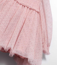 Load image into Gallery viewer, Girl Glitter Baby Shimmer Tulle Dress- Petal
