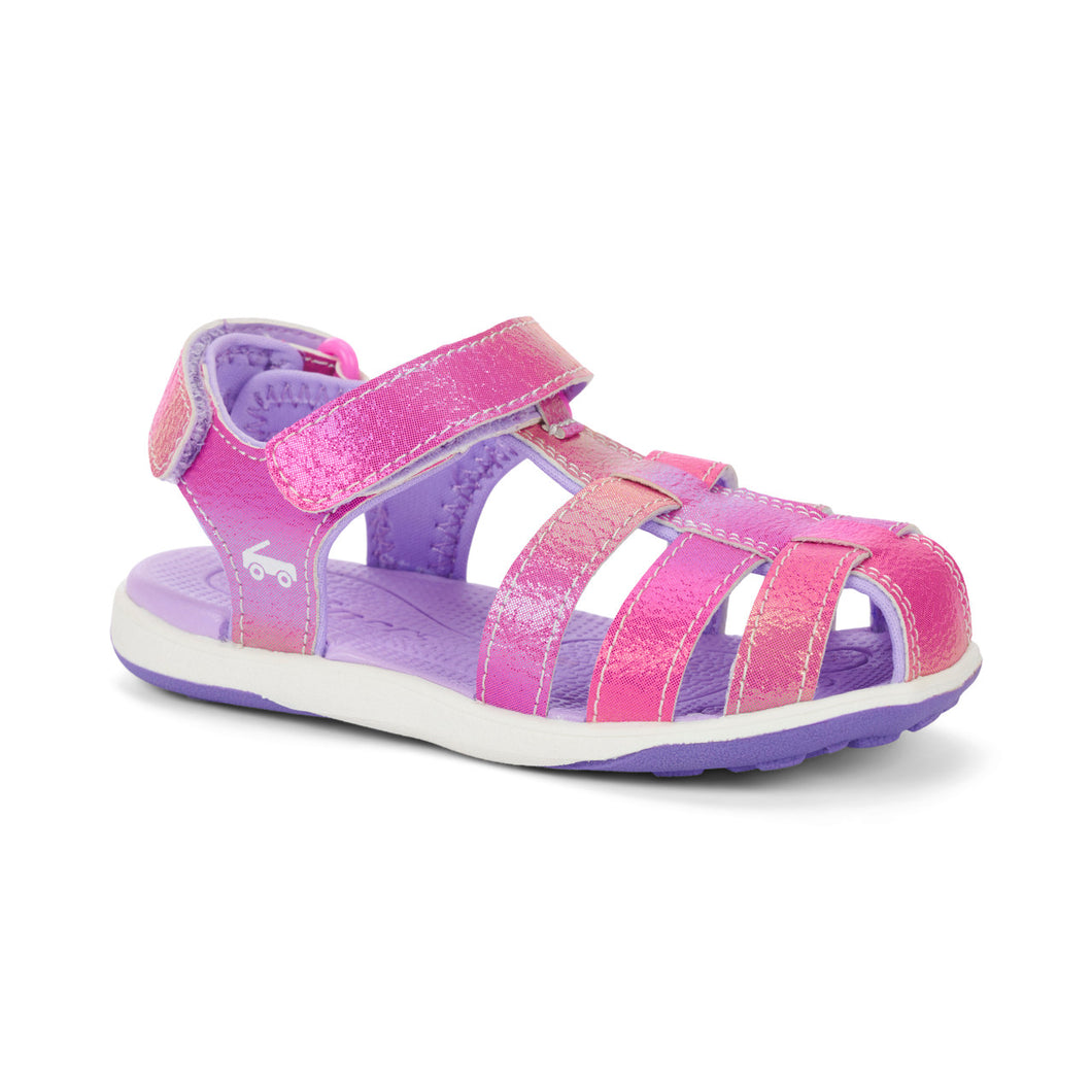 PALEY II - Hot Pink/Purple